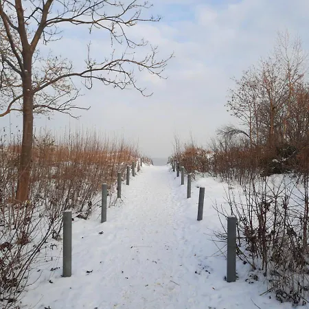 Modernes Reetdach-ostseeferienhaus Bella Mare, Insel Usedom Mit Sauna, Kamin & Sonnenterrasse * Zirchow