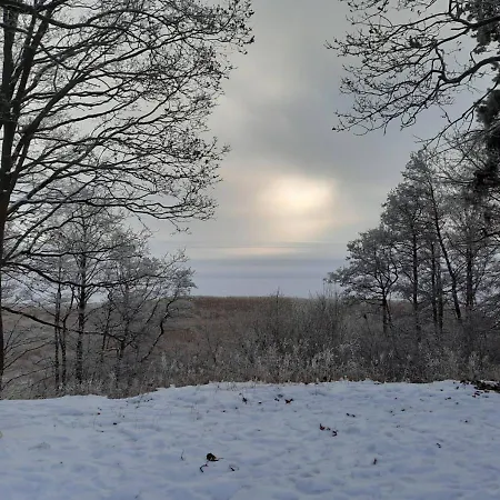 Modernes Reetdach-ostseeferienhaus Bella Mare, Insel Usedom Mit Sauna, Kamin & Sonnenterrasse